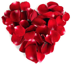 Heart of rose petals