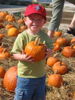 Noah in a pumpkin patch
